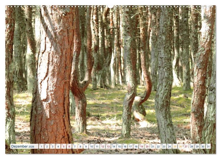 Produktbild: Kurische Nehrung: am l&auml;ngsten Ostsee-Strand (hochwertiger Premium Wandkalender 2026 DIN A2 quer), Kunstdruck in Hochglanz