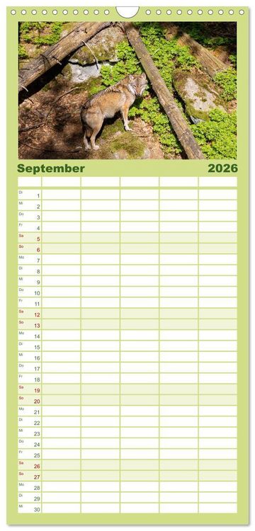 Produktbild: Familienplaner 2026 - Zauber des B&ouml;hmerwalds. Stille Sch&ouml;nheit im Westen Tschechiens mit 5 Spalten (Wandkalender, 21 x 45 cm) CALVENDO
