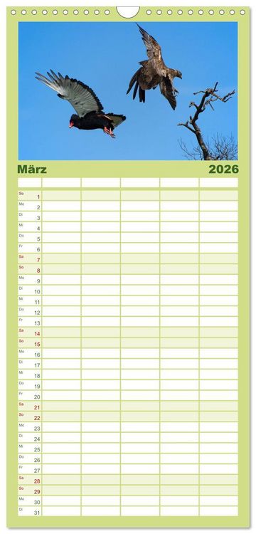 Produktbild: Familienplaner 2026 - Abenteuer Afrika - Im Paradies der Tiere mit 5 Spalten (Wandkalender, 21 x 45 cm) CALVENDO