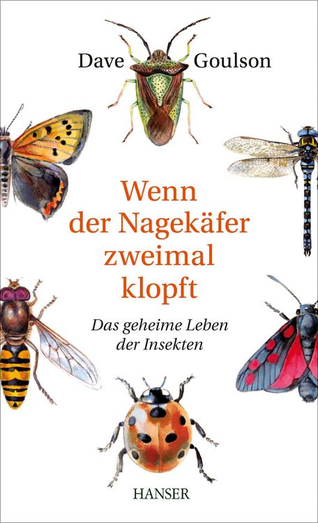 Produktbild: Wenn der Nagek&auml;fer zweimal klopft