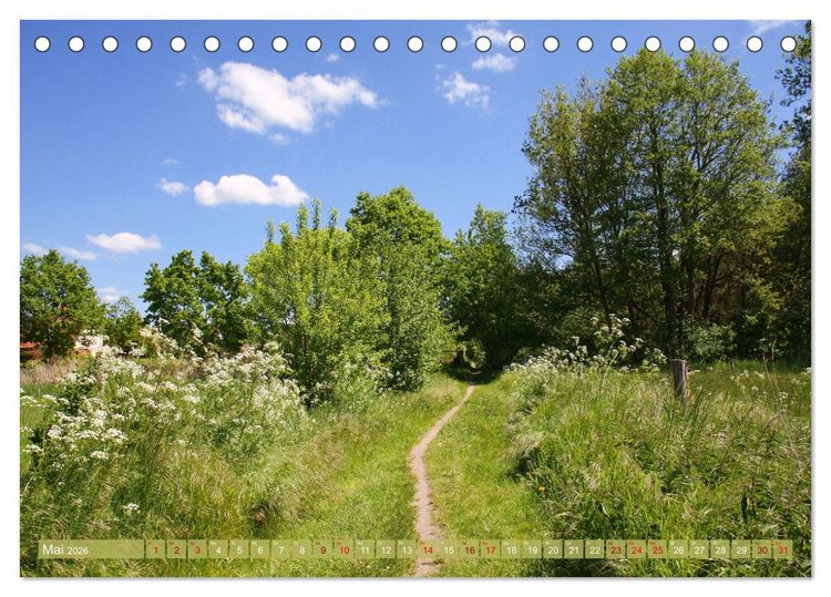 Produktbild: Brandenburg - sch&ouml;ne Ausflugsziele s&uuml;dlich von Berlin (Tischkalender 2026 DIN A5 quer), CALVENDO Monatskalender