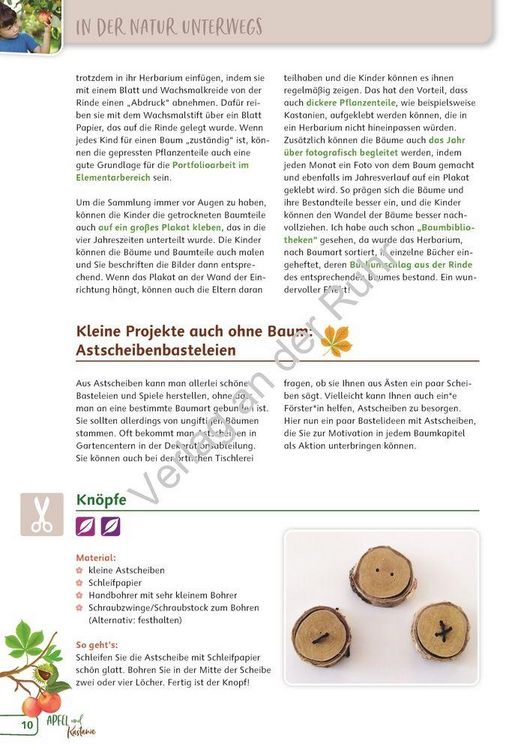 Produktbild: Paket: Heimische B&auml;ume