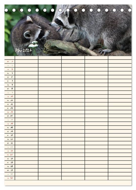 Produktbild: Waschb&auml;ren Familienplaner (Tischkalender 2026 DIN A5 hoch), CALVENDO Monatskalender