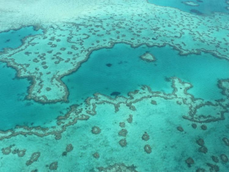 Produktbild: CALVENDO Puzzle Great Barrier Reef Queensland Australien | 1000 Teile Lege-Gr&ouml;&szlig;e 64x48cm Foto-Puzzle f&uuml;r gl&uuml;ckliche Stunden