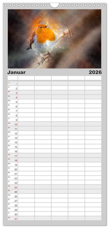 Produktbild: Familienplaner 2026 - Bei uns im Garten - Rotkehlchen mit 5 Spalten (Wandkalender, 21 x 45 cm) CALVENDO