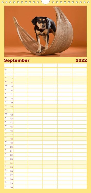 Produktbild: Familienplaner Bunte Pfoten (Wandkalender 2022 , 21 cm x 45 cm, hoch)
