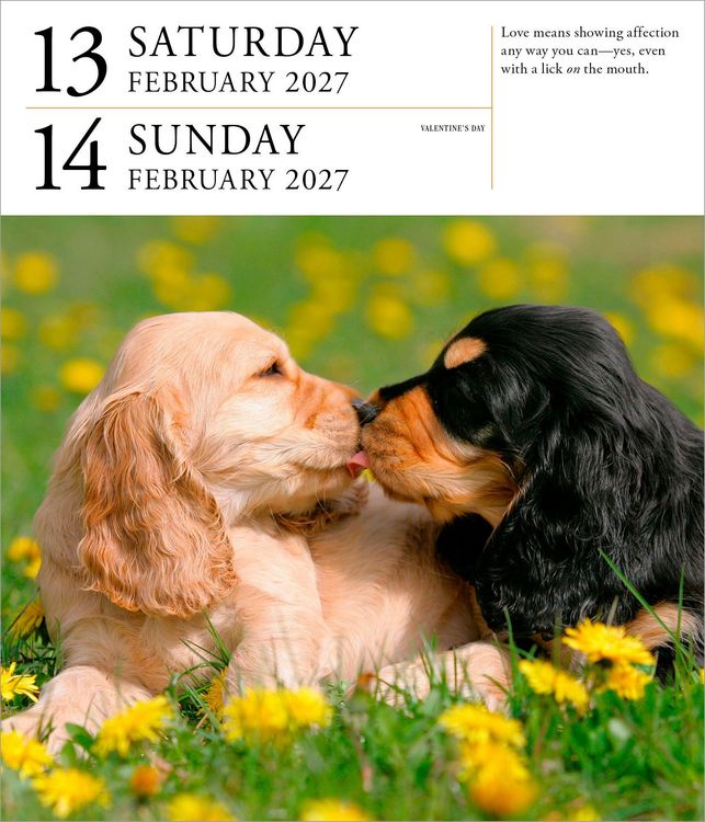 Produktbild: Dog Page-A-Day&reg; Gallery Calendar 2027