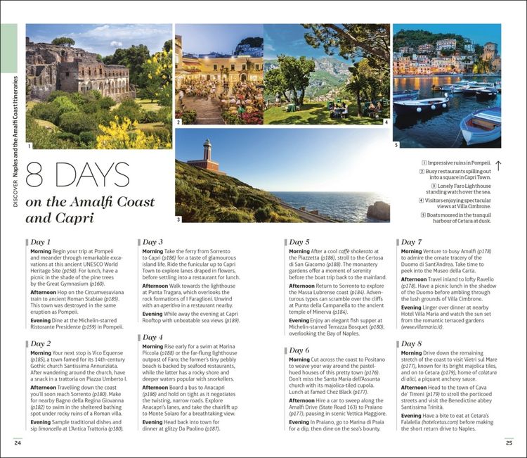 Produktbild: DK Naples and the Amalfi Coast