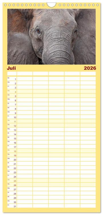 Produktbild: Familienplaner 2026 - Elefanten in Afrika mit 5 Spalten (Wandkalender, 21 x 45 cm) CALVENDO