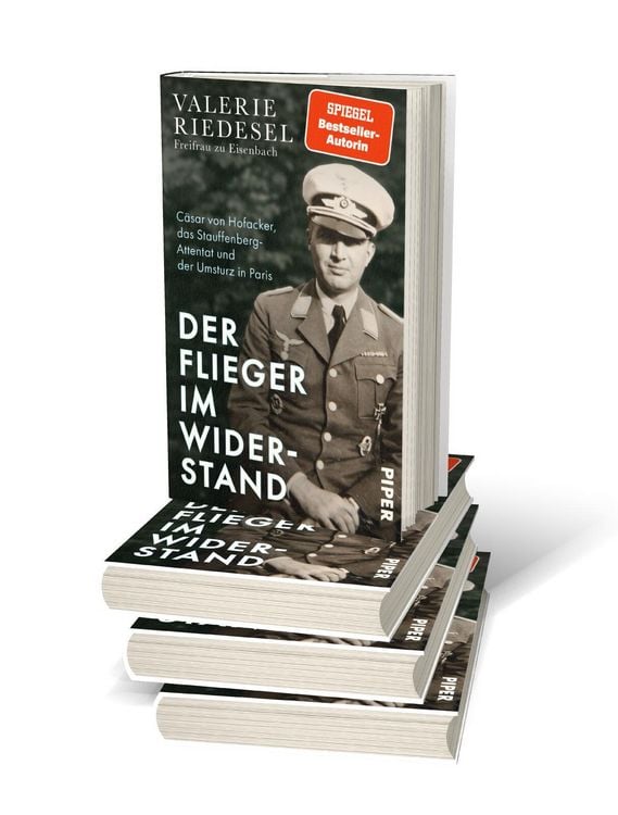 Produktbild: Der Flieger im Widerstand