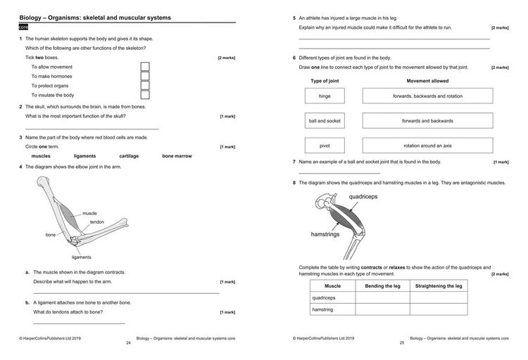Produktbild: KS3 Science Progress Tests