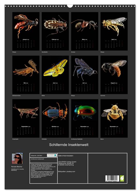 Produktbild: Schillernde Insektenwelt (Wandkalender 2026 DIN A2 hoch), CALVENDO Monatskalender