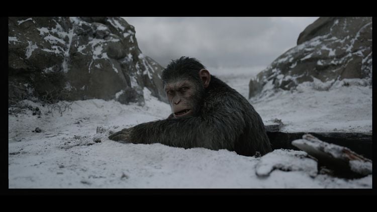 Planet der Affen: Survival