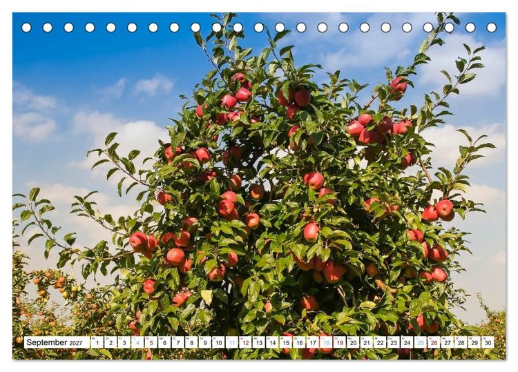 Produktbild: Das Alte Land- im Rhythmus der Jahreszeiten (Tischkalender 2027 DIN A5 quer), CALVENDO Monatskalender