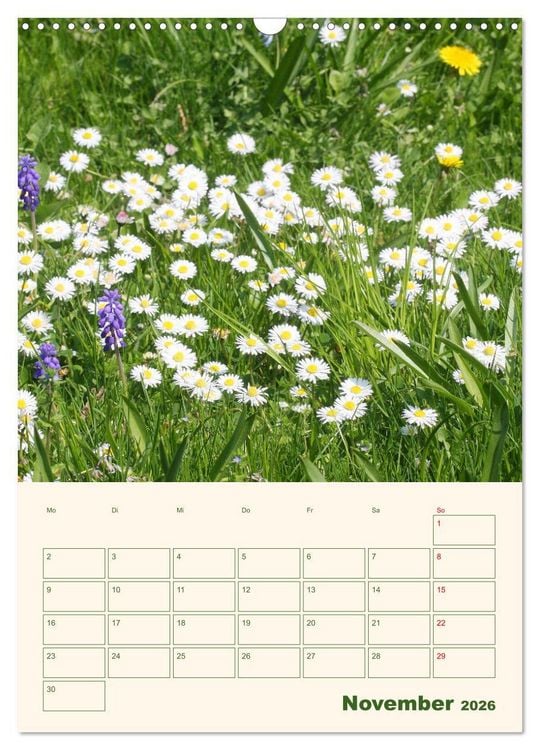 Produktbild: Vertr&auml;umte G&auml;nsebl&uuml;mchen (Wandkalender 2026 DIN A3 hoch), CALVENDO Monatskalender