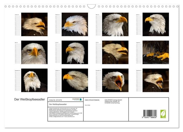 Produktbild: Der Wei&szlig;kopfseeadler (Wandkalender 2026 DIN A3 quer), CALVENDO Monatskalender
