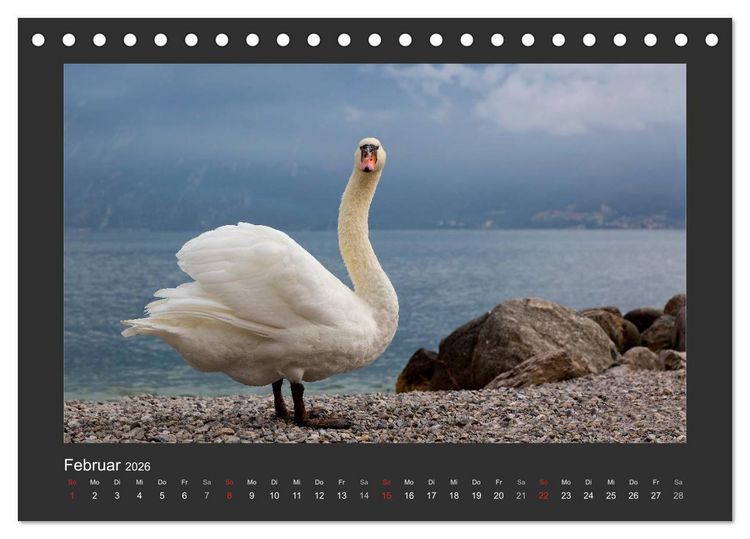 Produktbild: Limone sul Garda - Bella Italia (Tischkalender 2026 DIN A5 quer), CALVENDO Monatskalender