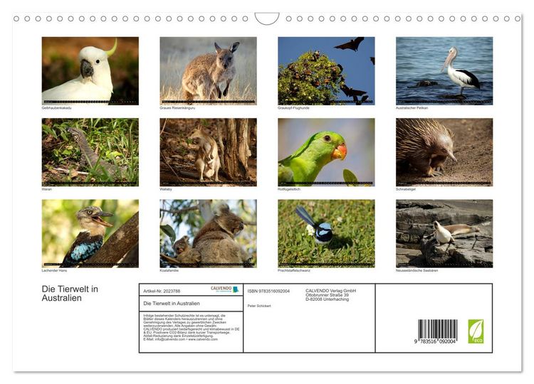 Produktbild: Die Tierwelt in Australien (Wandkalender 2026 DIN A3 quer), CALVENDO Monatskalender
