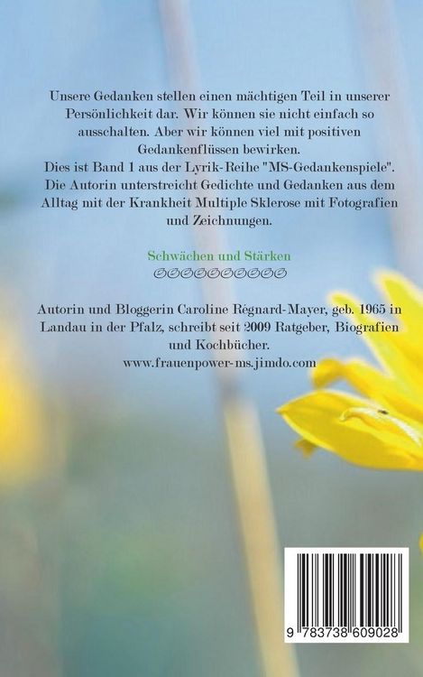 Produktbild: MS - Gedankenspiele