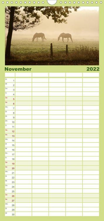 Produktbild: Familienplaner Faszination Pferde (Wandkalender 2022 , 21 cm x 45 cm, hoch)