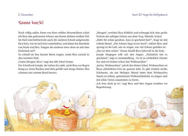 Produktbild: Rica sucht das Christkind