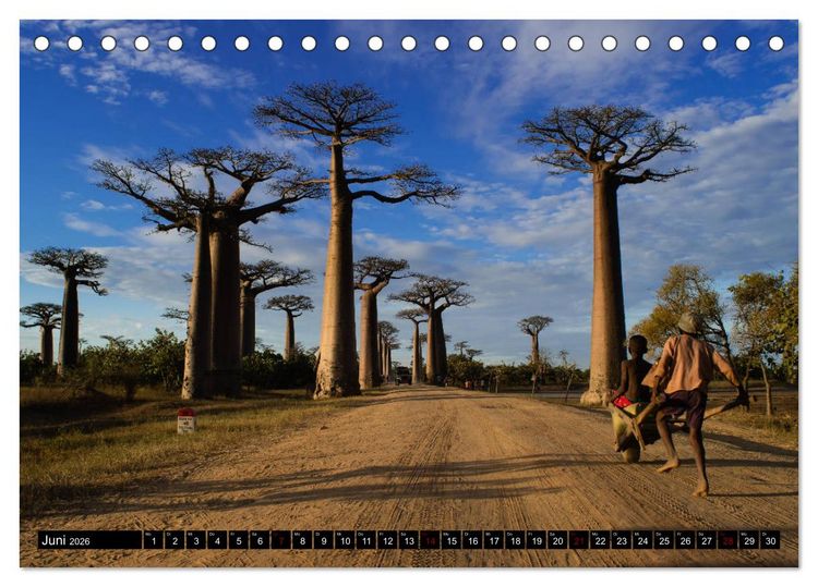 Produktbild: Madagaskar - Impressionen von Rolf Dietz (Tischkalender 2026 DIN A5 quer), CALVENDO Monatskalender