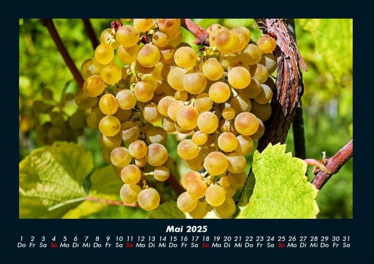 Produktbild: Obstkalender 2025 Fotokalender DIN A4