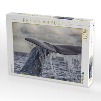 Produktbild: CALVENDO Puzzle Pottwal vor dem Tauchgang | 1000 Teile Lege-Gr&ouml;&szlig;e 64x48cm Foto-Puzzle f&uuml;r gl&uuml;ckliche Stunden