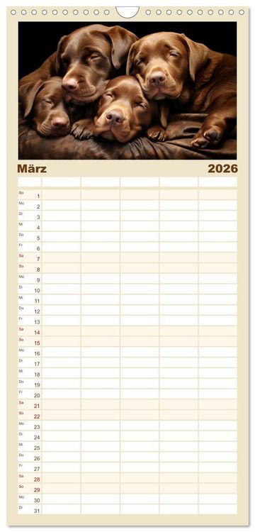 Produktbild: Familienplaner 2026 - Wenn sie schlafen... mit 5 Spalten (Wandkalender, 21 x 45 cm) CALVENDO
