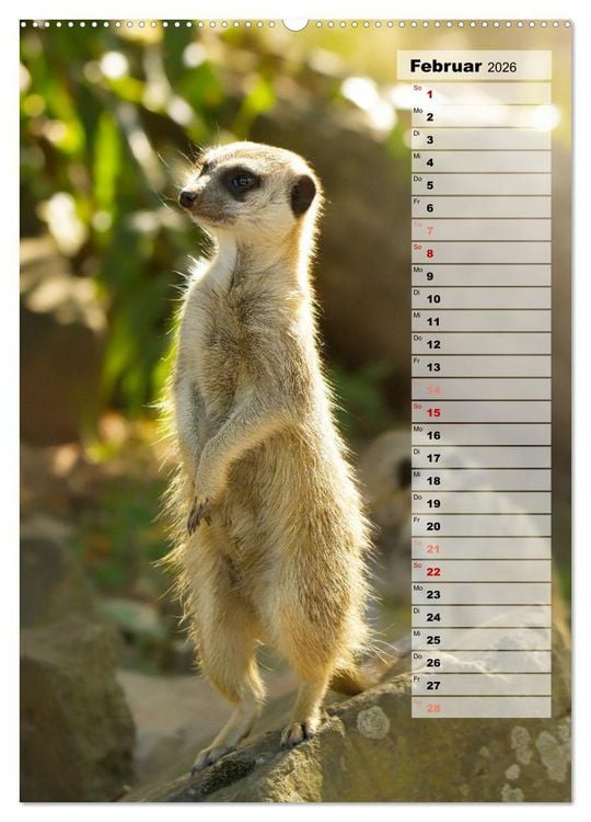 Produktbild: Erdm&auml;nnchen, putzige Kerlchen mit gro&szlig;en Knopfaugen (Wandkalender 2026 DIN A2 hoch), CALVENDO Monatskalender