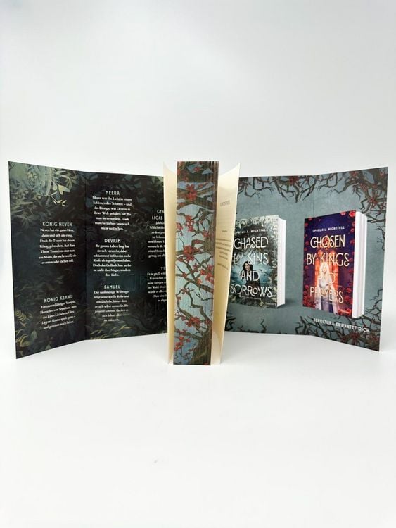 Produktbild: Chased by Sins and Sorrows