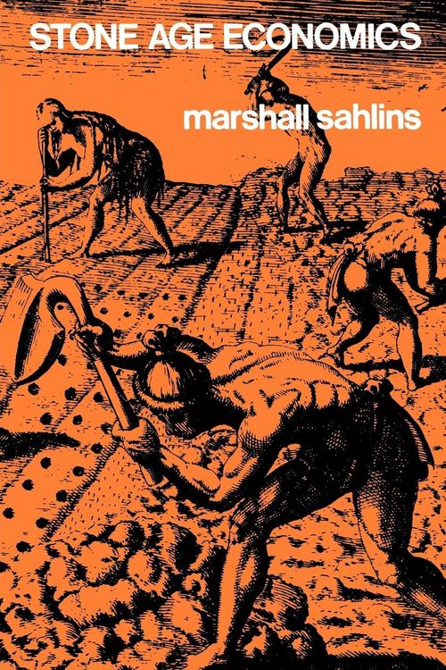 Produktbild: Stone Age Economics