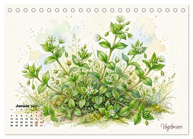 Produktbild: Wilde Kostbarkeiten &ndash; Essbar, gesund & wundersch&ouml;n (Tischkalender 2027 DIN A5 quer), CALVENDO Monatskalender