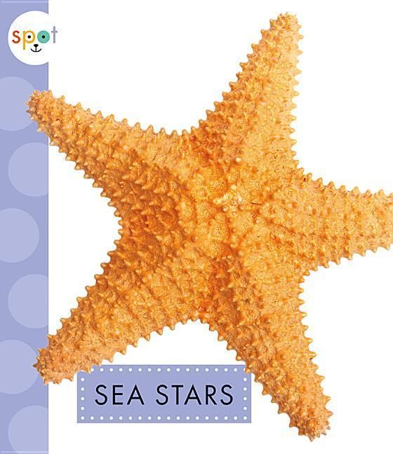 Produktbild: Sea Stars