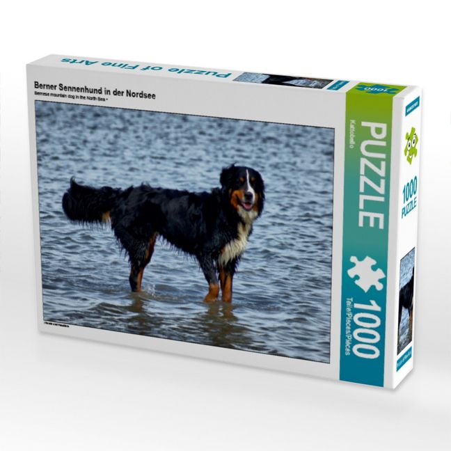 Produktbild: CALVENDO Puzzle Berner Sennenhund in der Nordsee | 1000 Teile Lege-Gr&ouml;&szlig;e 64x48cm Foto-Puzzle f&uuml;r gl&uuml;ckliche Stunden