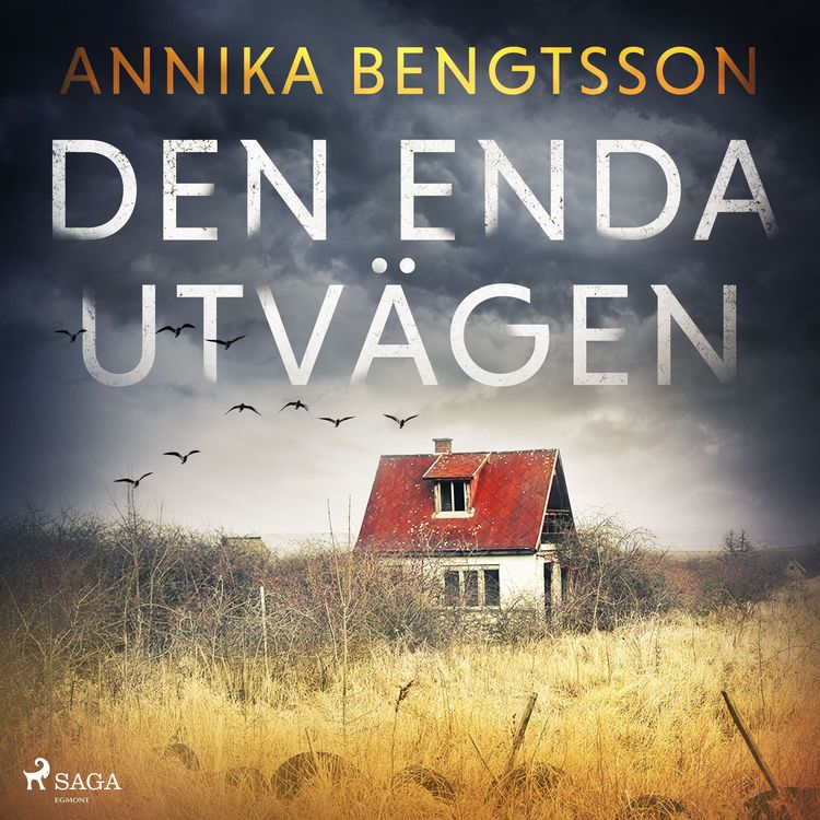 Produktbild: Den enda utv&auml;gen