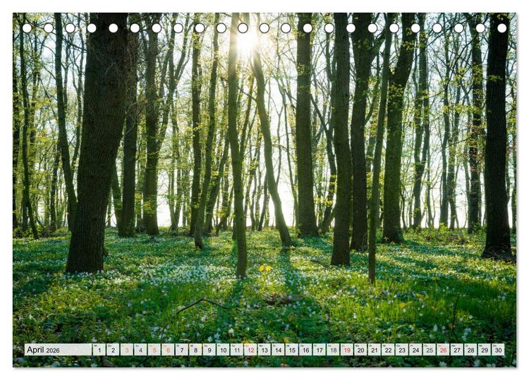 Produktbild: Willkommen im Burgenlandkreis (Tischkalender 2026 DIN A5 quer), CALVENDO Monatskalender
