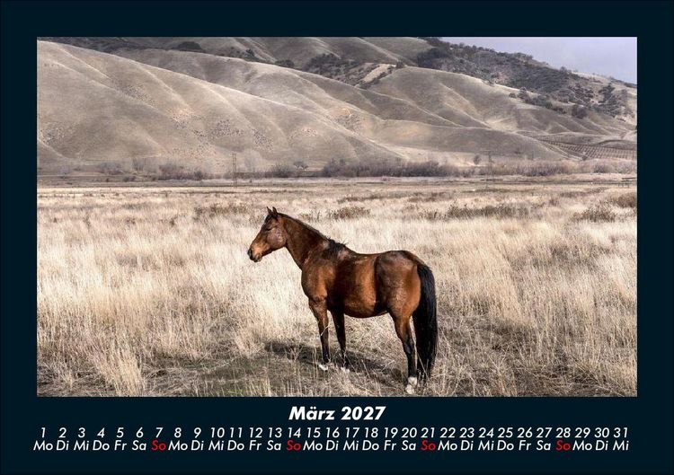 Produktbild: Die Welt der Pferde 2027 Fotokalender DIN A5