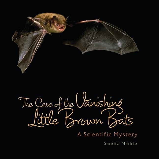 Produktbild: The Case of the Vanishing Little Brown Bats
