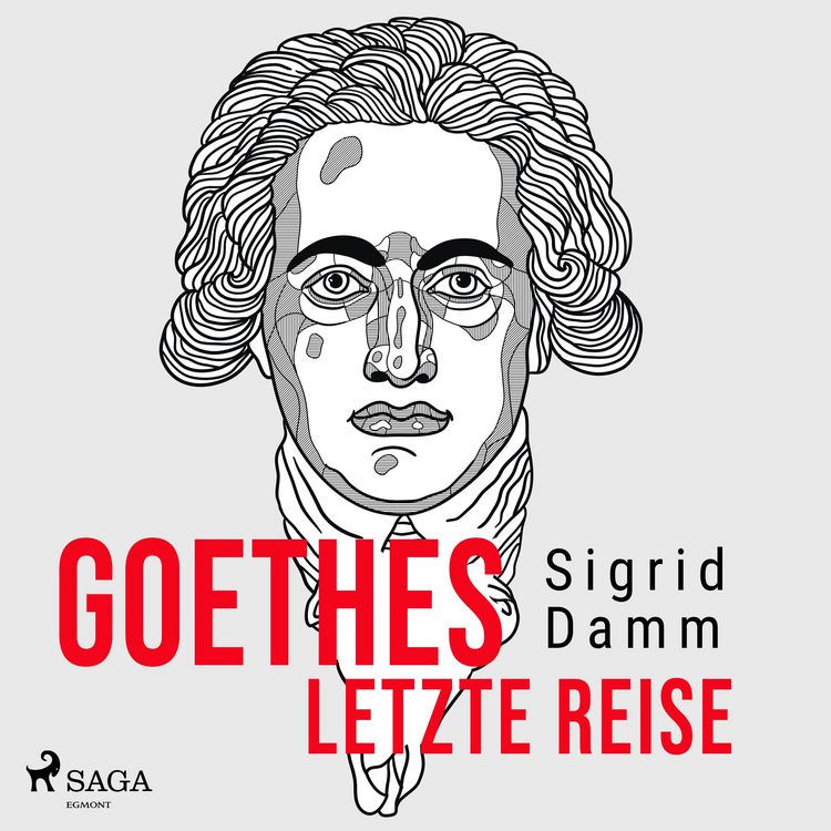 Produktbild: Goethes letzte Reise