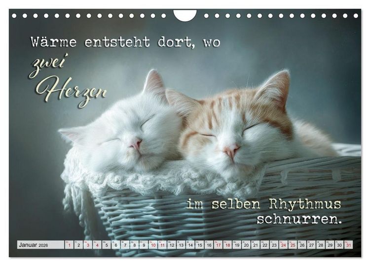 Produktbild: Katzenpoesie - Herzber&uuml;hrende Verse (Wandkalender 2026 DIN A4 quer), CALVENDO Monatskalender