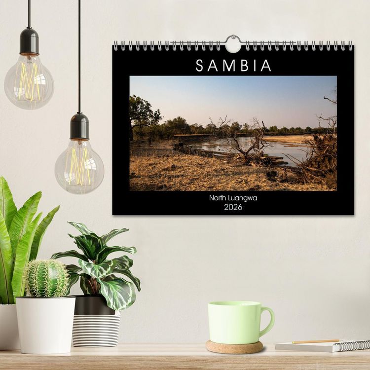 Produktbild: Sambia "Das wirkliche Afrika" (Wandkalender 2026 DIN A4 quer), CALVENDO Monatskalender