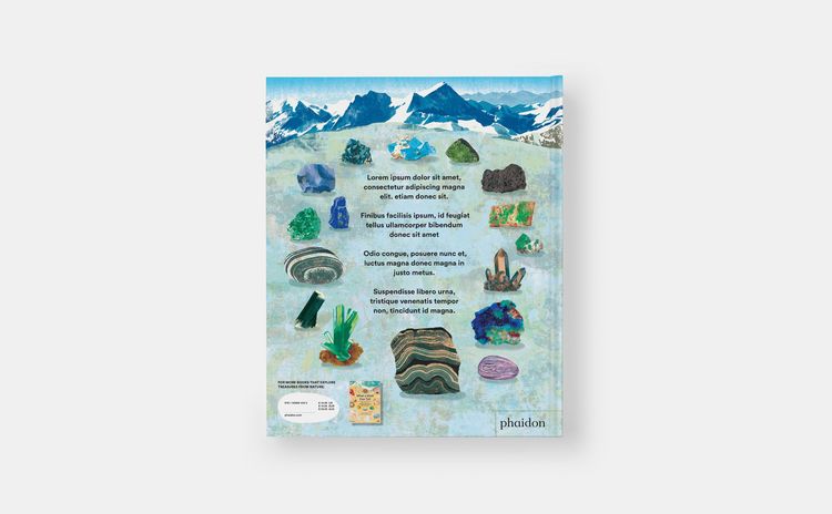 Produktbild: What a Rock Can Reveal