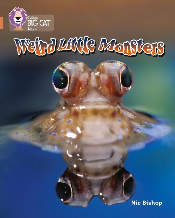 Produktbild: Weird Little Monsters