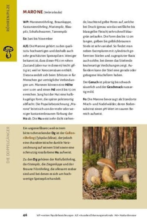 Produktbild: Pilze bestimmen - Der kleine Pilzf&uuml;hrer f&uuml;r Einsteiger und Fortgeschrittene