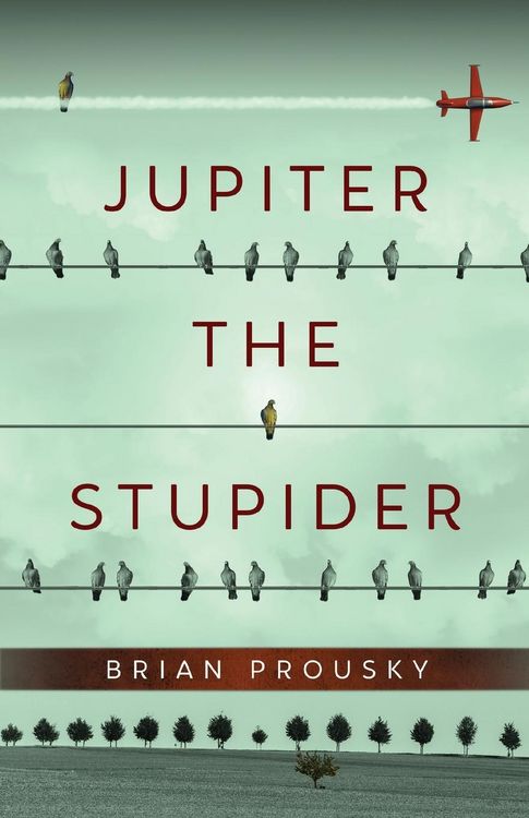 Produktbild: Jupiter the Stupider