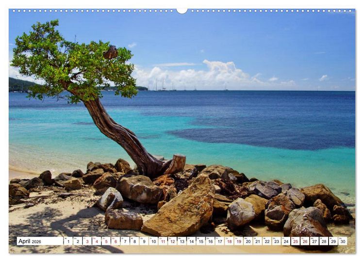 Produktbild: Martinique, die Traumstr&auml;nde (Wandkalender 2026 DIN A2 quer), CALVENDO Monatskalender