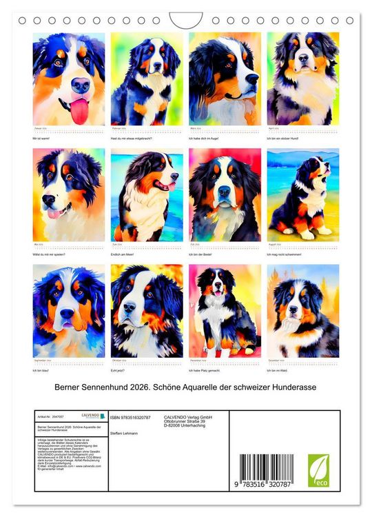 Produktbild: Berner Sennenhund 2026. Sch&ouml;ne Aquarelle der schweizer Hunderasse (Wandkalender 2026 DIN A4 hoch), CALVENDO Monatskalender