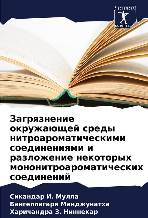 Produktbild: Zagrqznenie okruzha&uuml;schej sredy nitroaromaticheskimi soedineniqmi i razlozhenie nekotoryh mononitroaromaticheskih soedinenij