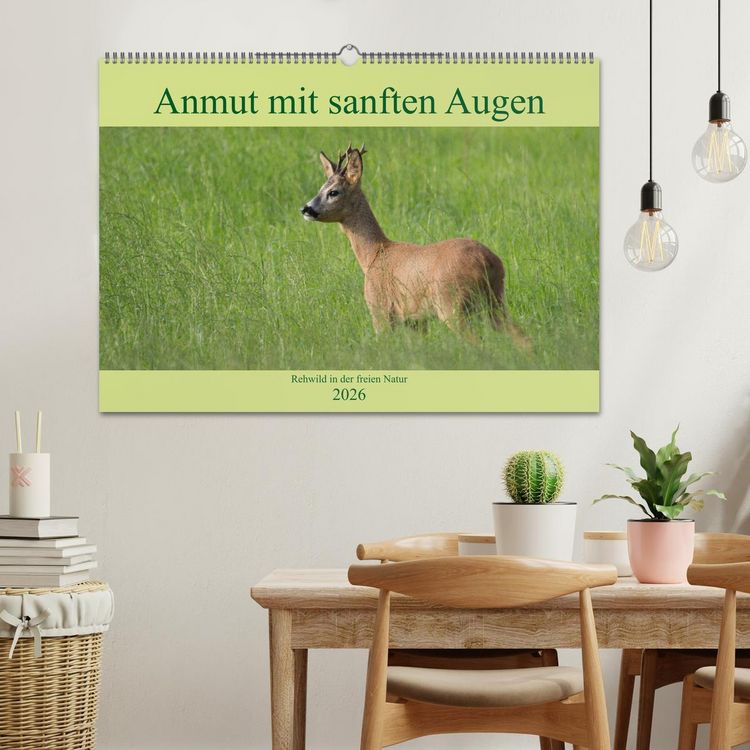 Produktbild: Anmut mit sanften Augen - Rehwild in der freien Natur (Wandkalender 2026 DIN A2 quer), CALVENDO Monatskalender